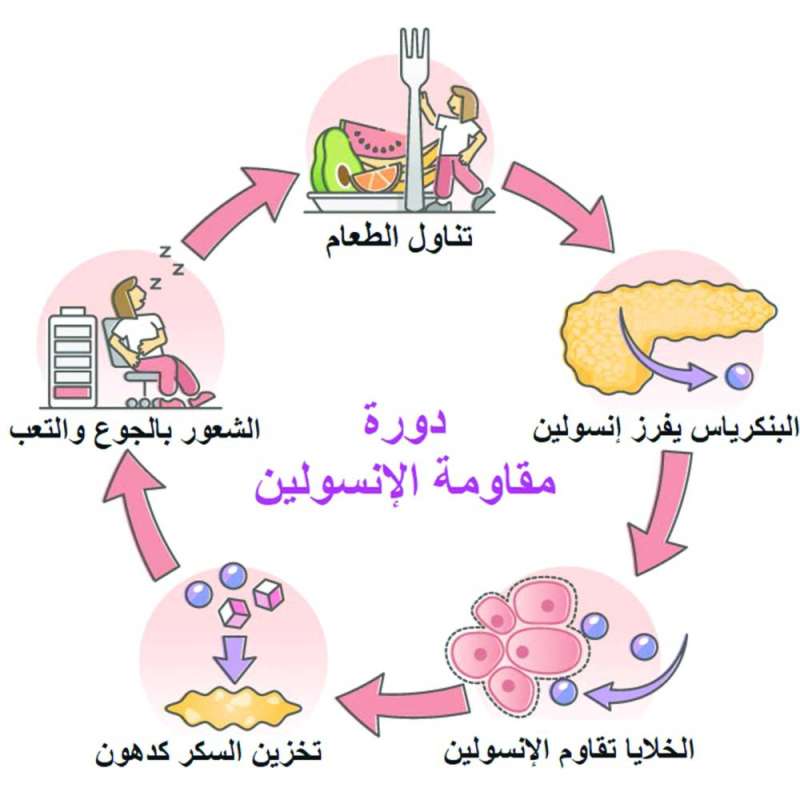 كل ما تحتاج معرفته عن مقاومة الأنسولين