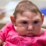 كل ما تحتاج معرفته عن فيروس زيكا كل ما تحتاج معرفته عن فيروس زيكا