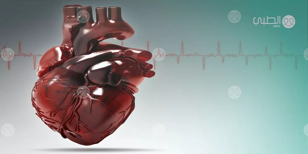 كل ما تحتاج معرفته عن عدم انتظام ضربات القلب كل ما تحتاج معرفته عن عدم انتظام ضربات القلب