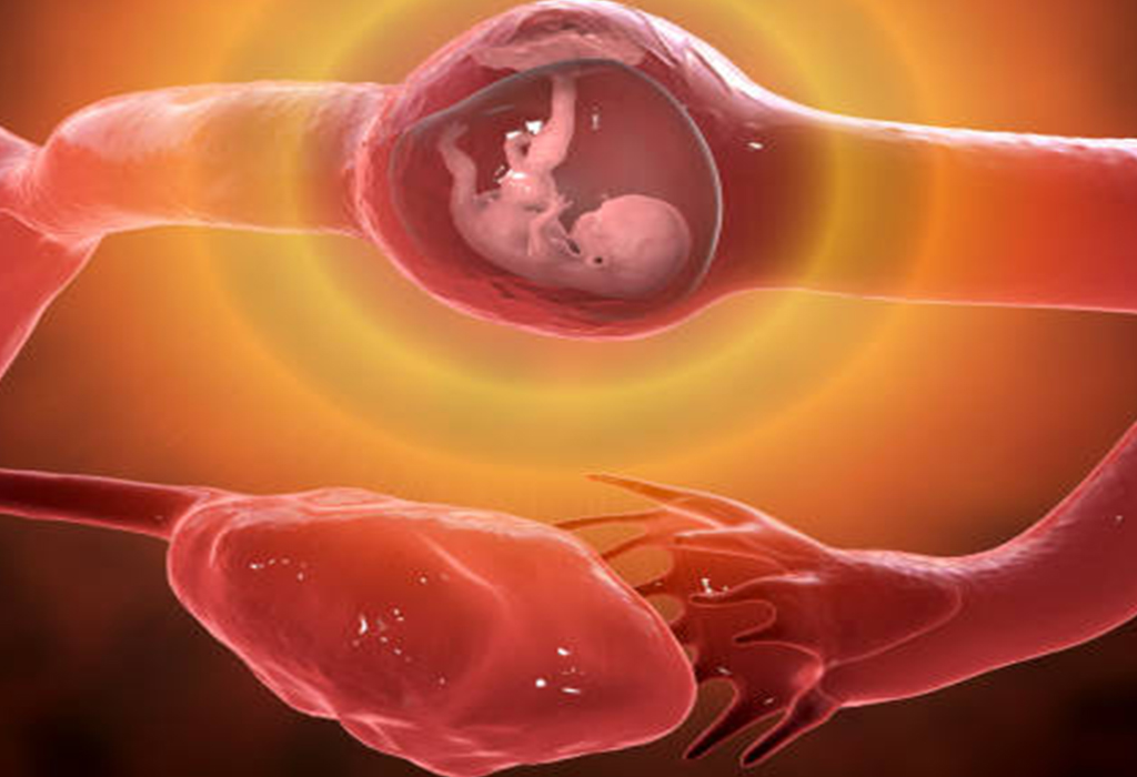 اكتشف كل ما تحتاج إلى معرفته عن الحمل خارج الرحم اكتشف كل ما تحتاج إلى معرفته عن الحمل خارج الرحم