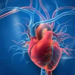 كل ما تحتاج معرفته عن أمراض القلب كل ما تحتاج معرفته عن أمراض القلب