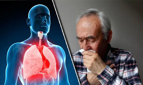 كل ما تحتاج لمعرفته عن التهاب الشعب الهوائية: دليل شامل