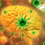 كل ما تحتاج معرفته عن فيروس نيباه كل ما تحتاج معرفته عن فيروس نيباه