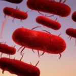 الطاعون: الأسباب والأعراض والعلاج والوقاية الطاعون: الأسباب والأعراض والعلاج والوقاية