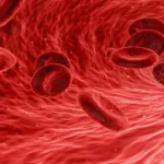 الأنيميا: الأسباب والأعراض وطرق العلاج بالتفصيل الأنيميا: الأسباب والأعراض وطرق العلاج بالتفصيل