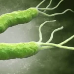 جرثومة المعدة: كل ما تحتاج لمعرفته عن هذا العدو الخفي جرثومة المعدة: كل ما تحتاج لمعرفته عن هذا العدو الخفي