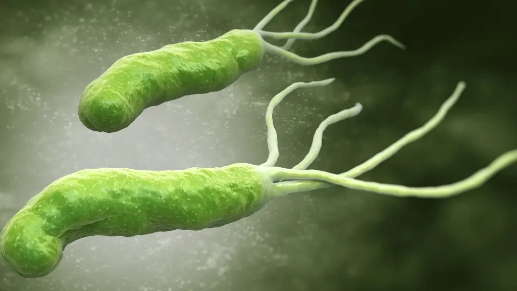 جرثومة المعدة: كل ما تحتاج لمعرفته عن هذا العدو الخفي